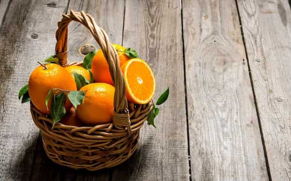 قیمت خرید پرتقال تامسون عمده با فروش عمده